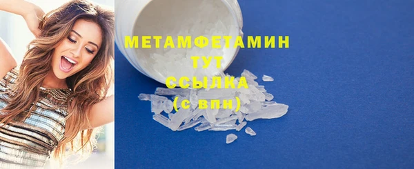 прущие грибы Дмитровск