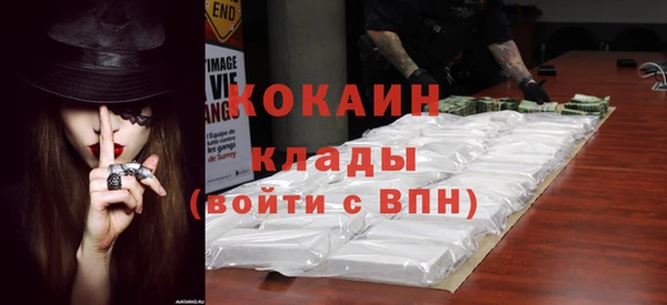 прущие грибы Дмитровск