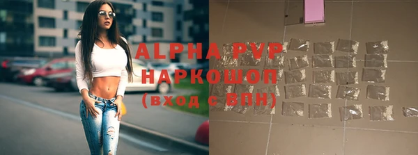 прущие грибы Дмитровск