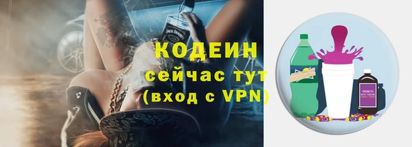 меф Дмитриев
