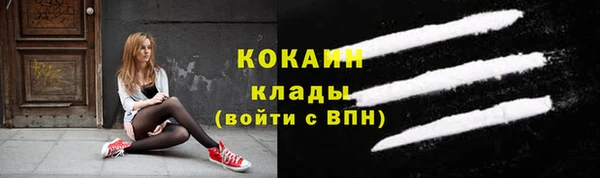 меф Дмитриев