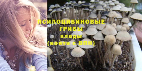 прущие грибы Дмитровск