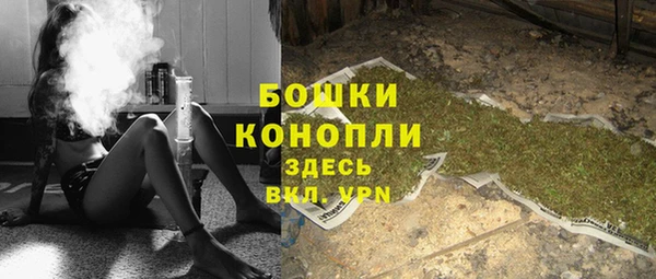 прущие грибы Дмитровск