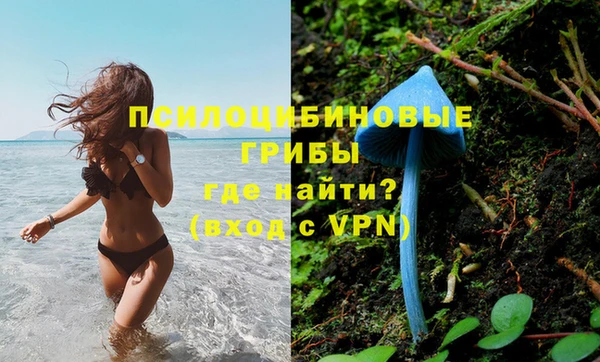 дурь Дмитров